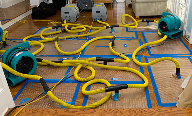 Professional Basement Flood Cleanup technician working in Dorr, MI
